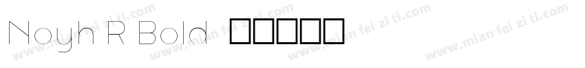Noyh R Bold字体转换